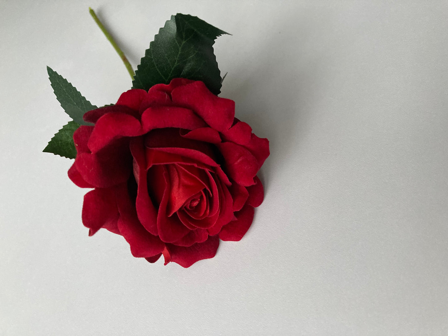 Velvet Short Stem Red Rose