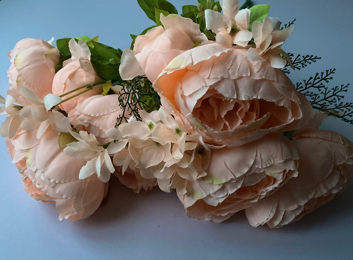 Peach Peony Bush