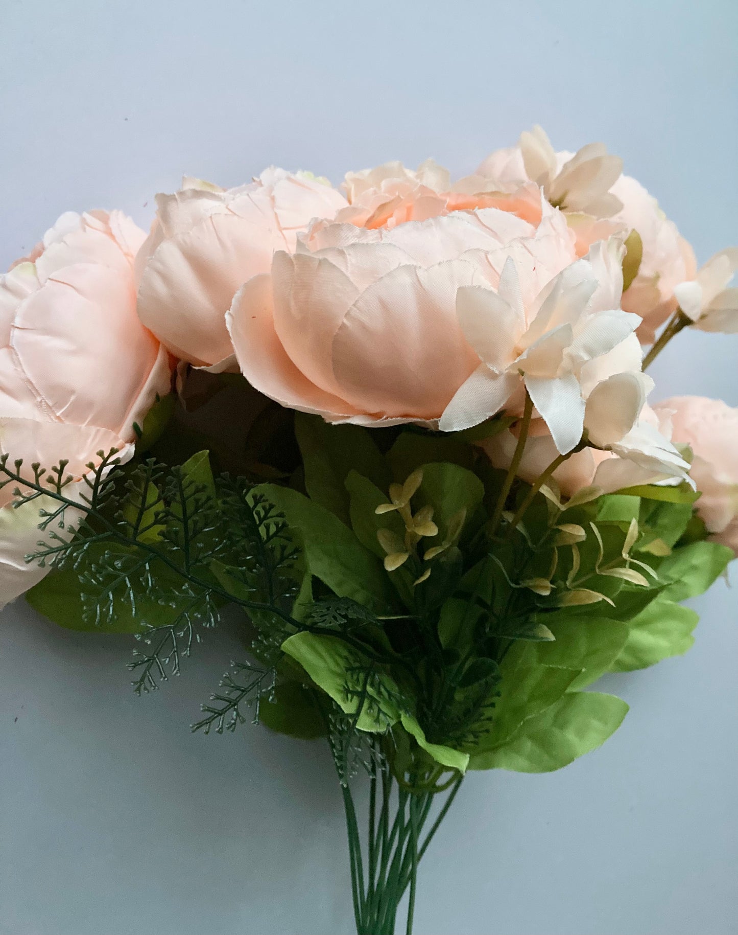 Peach Peony Bush
