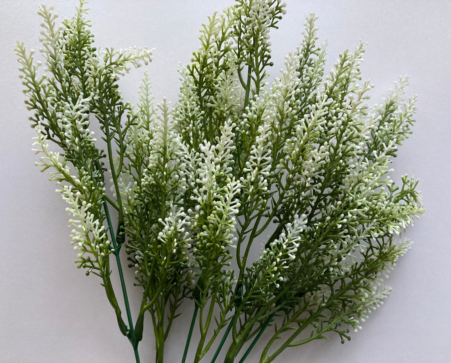 White Tipped Astilbe Bunch