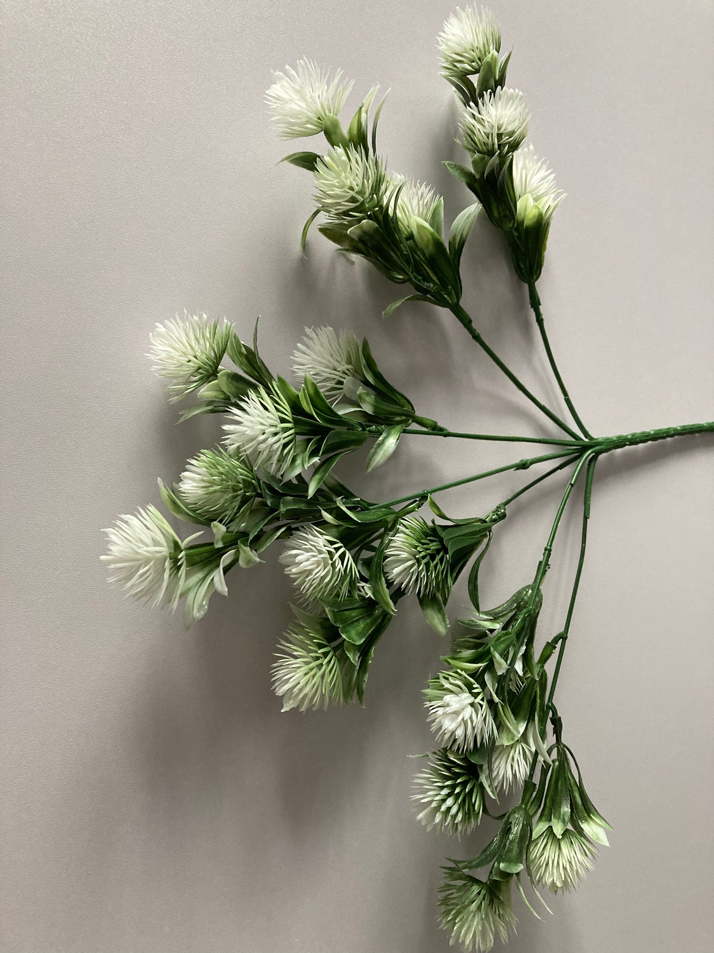 White Thistle Bunch