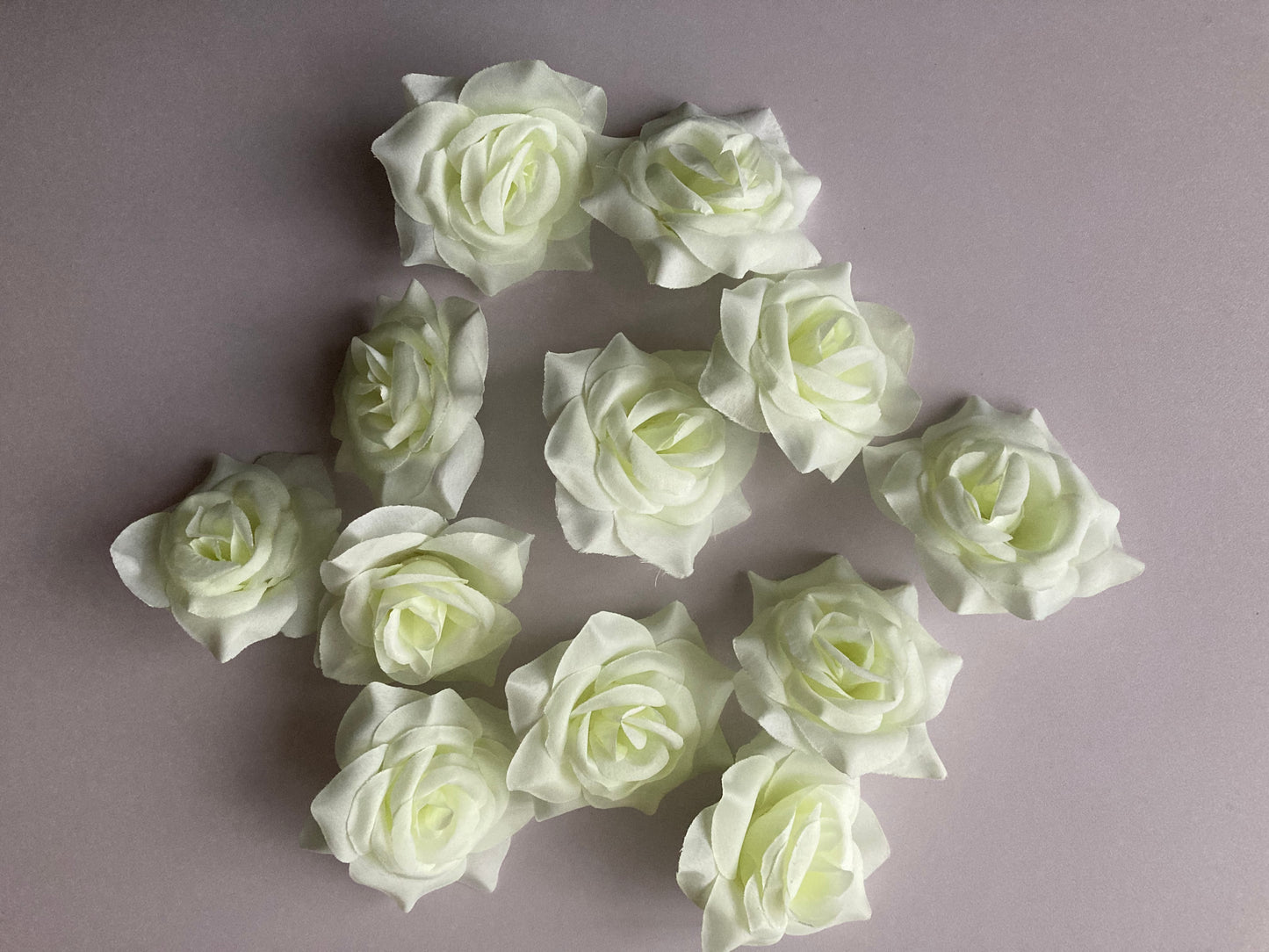 12 Ivory Rose Heads