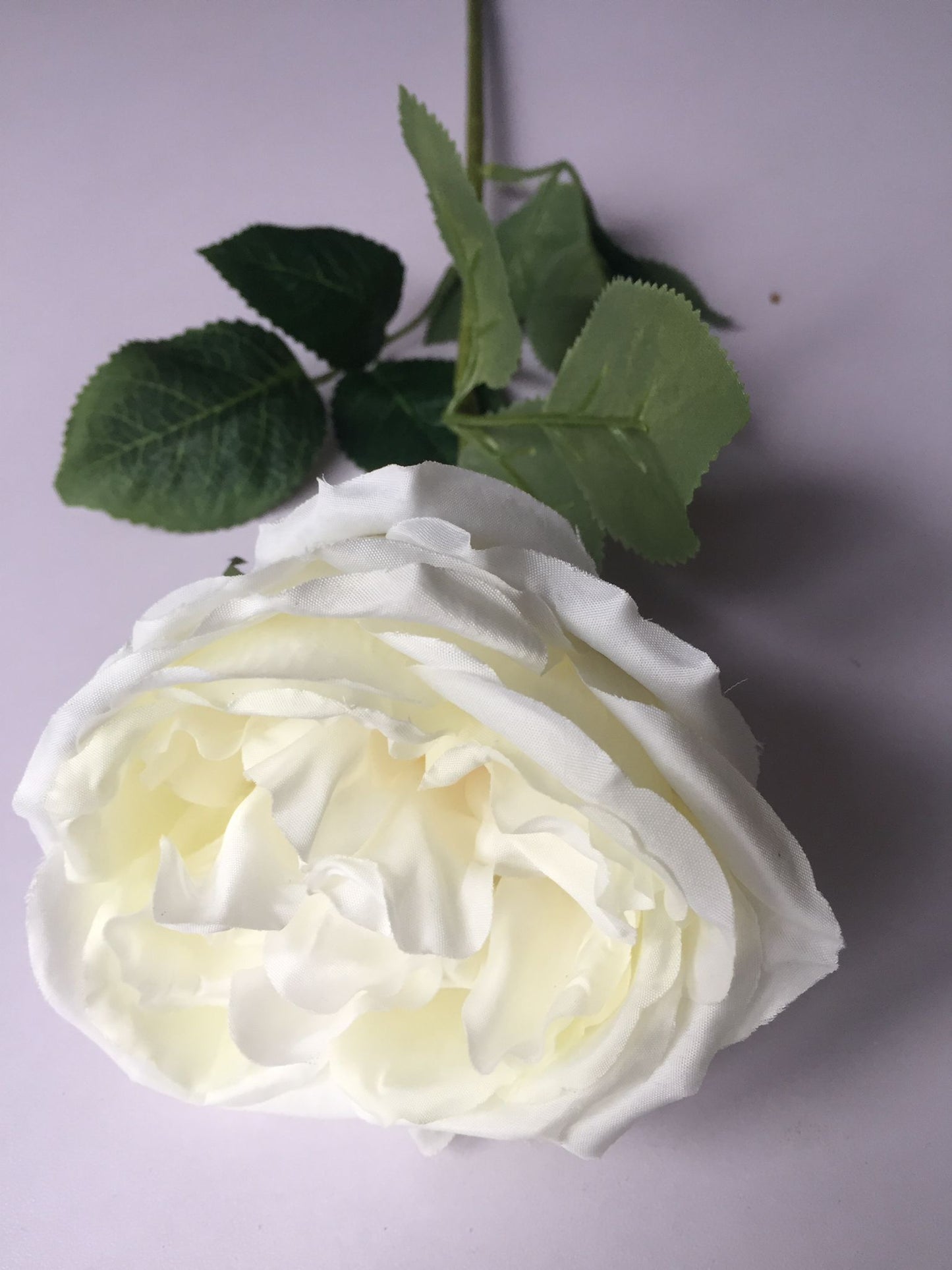 White Open Rose Single Stem