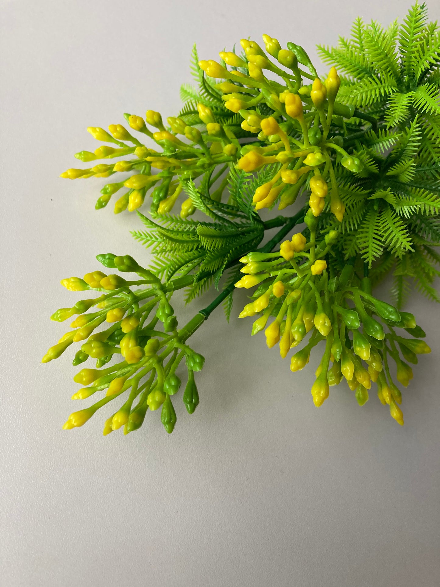 Yellow Berry Bush