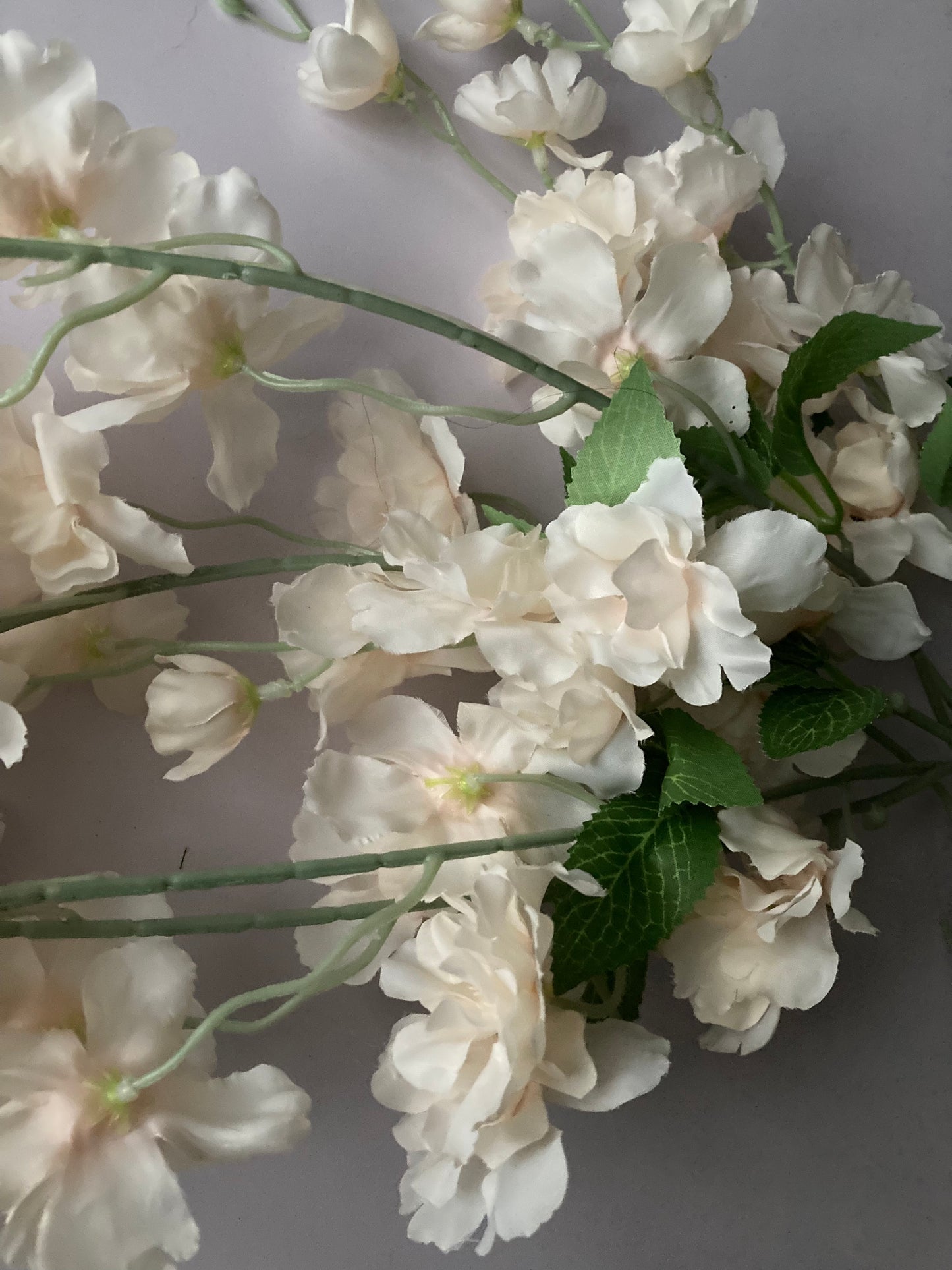 Cream Delphinium Trailing Flower