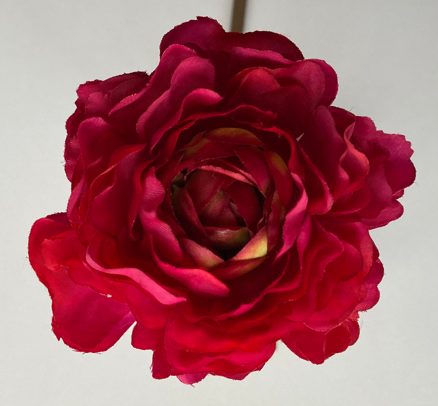 Open Deluxe Ranunculus Stem
