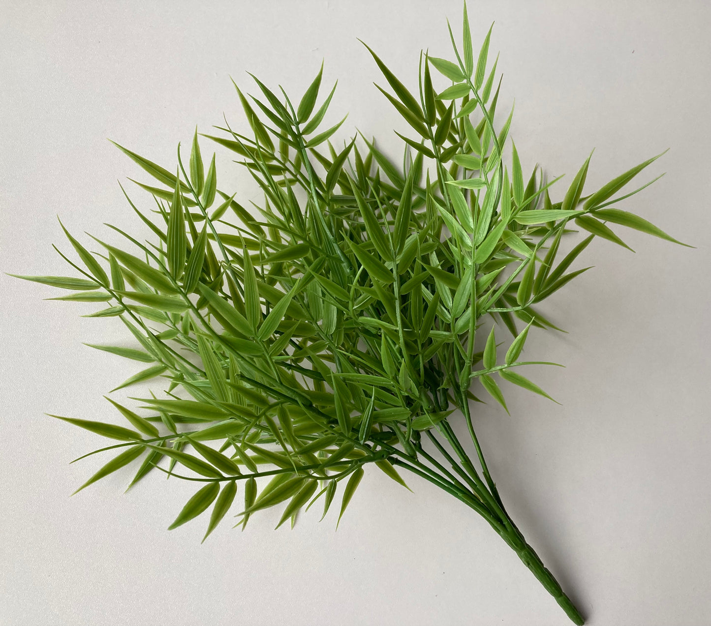 Small Bamboo Foliage