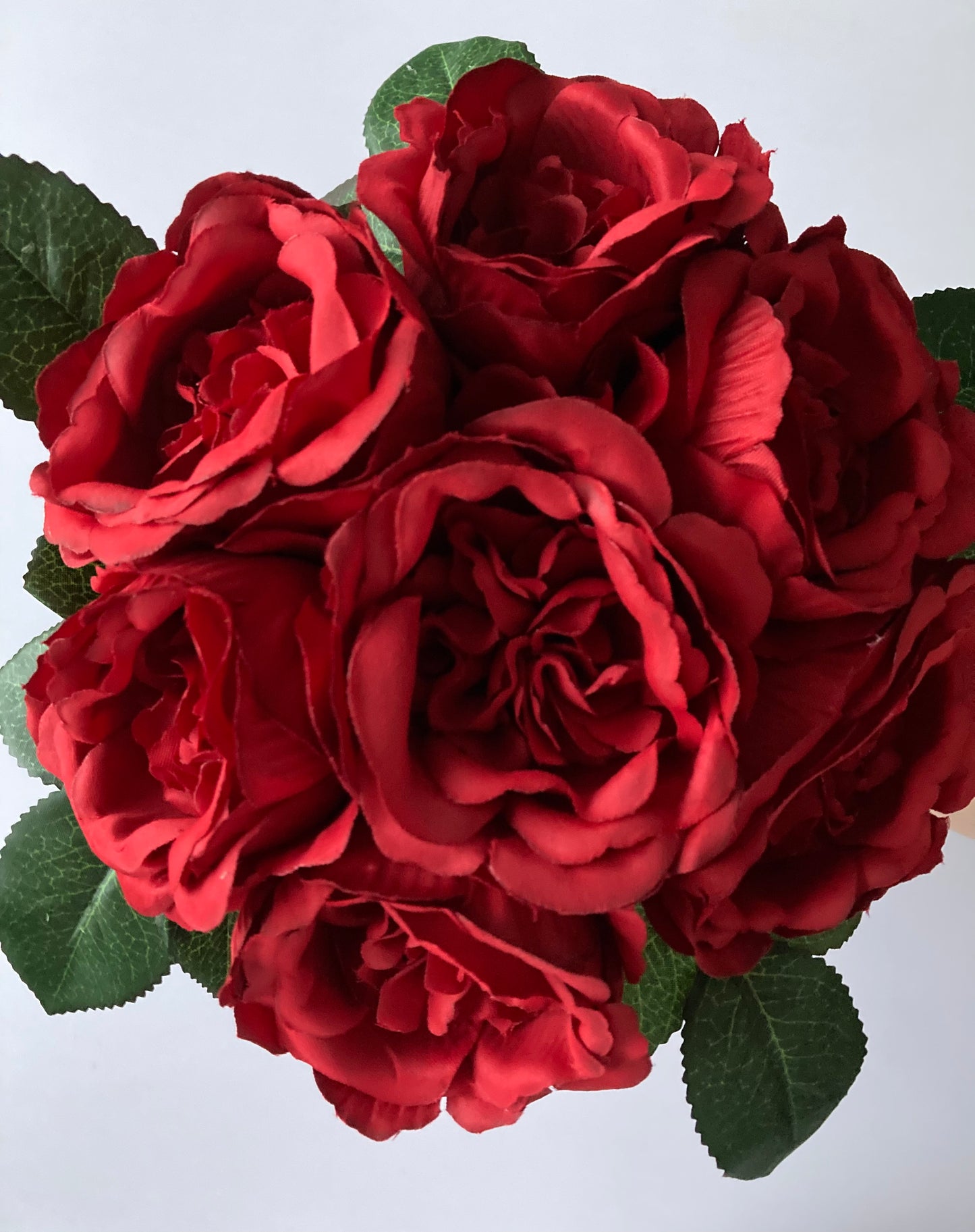 Red Cabbage Rose Bunch