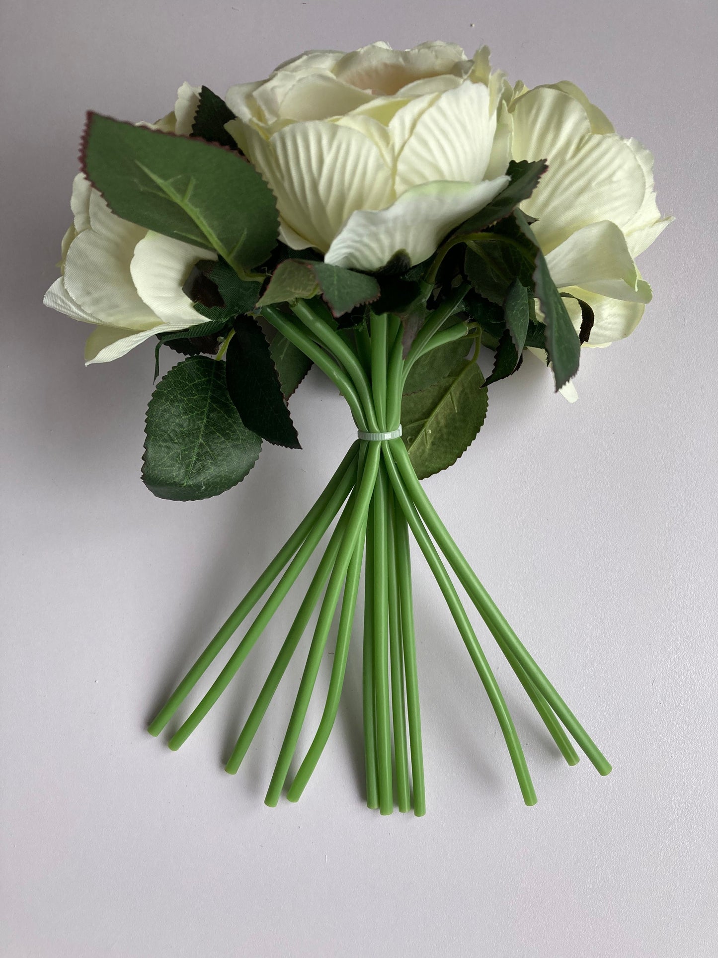 Cabbage Roses