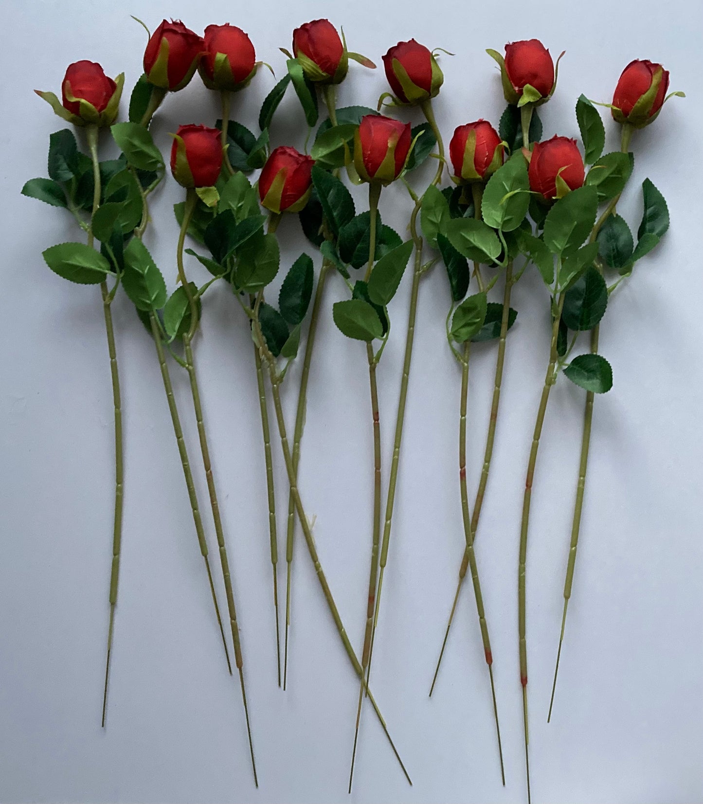 12 Rose Bud Bunch