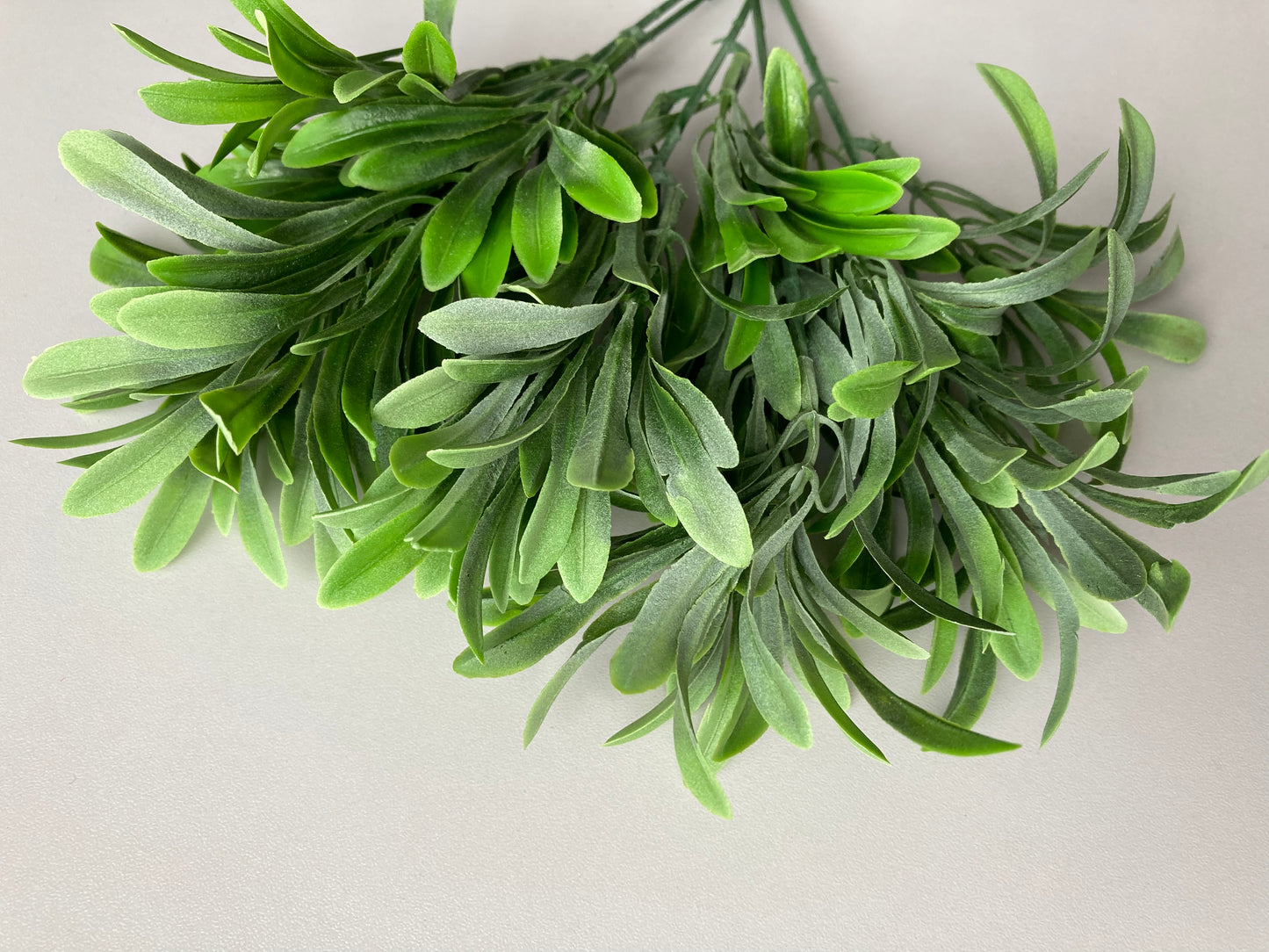 Leafy Greenery Foliage