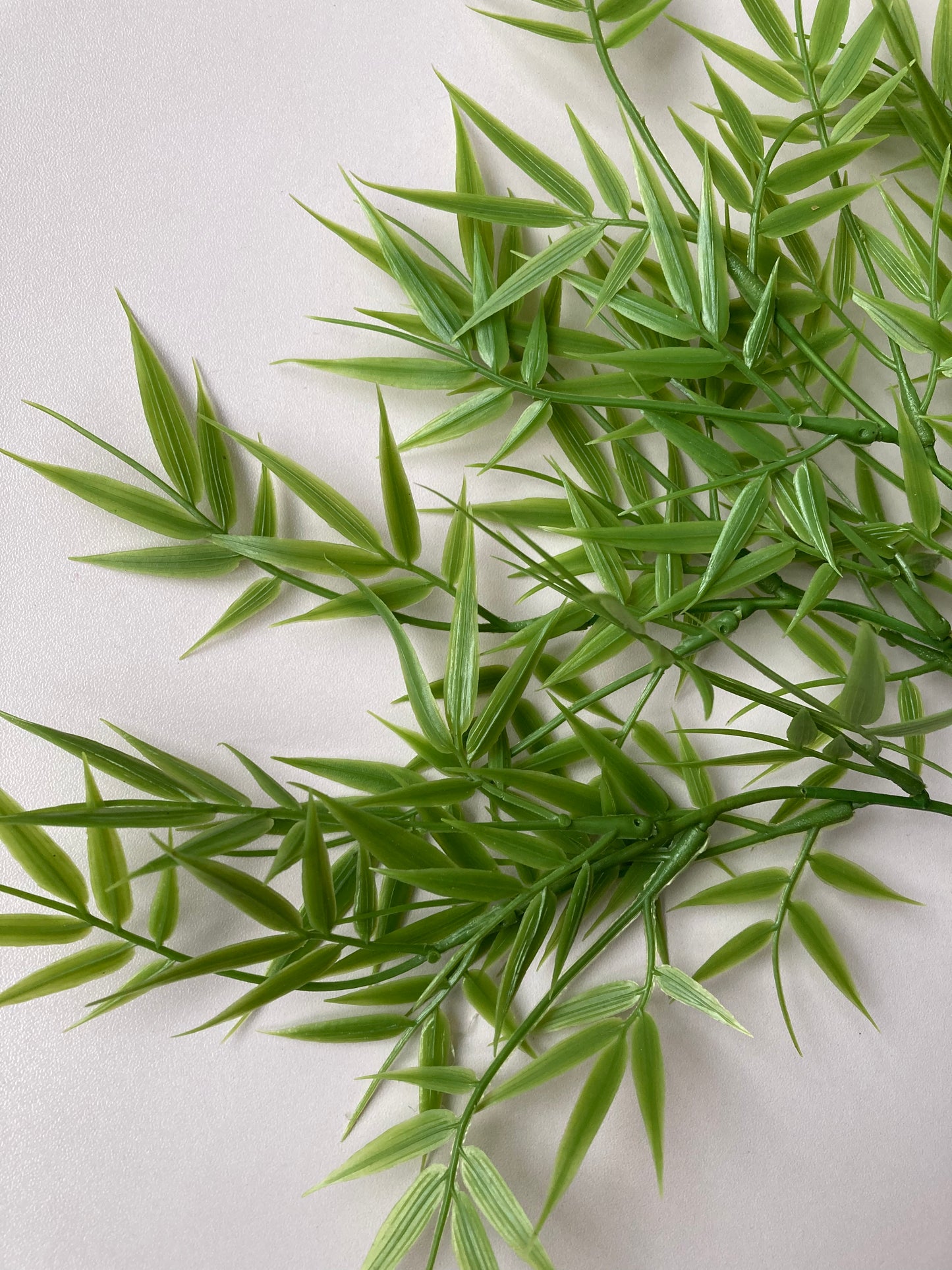 Small Bamboo Foliage