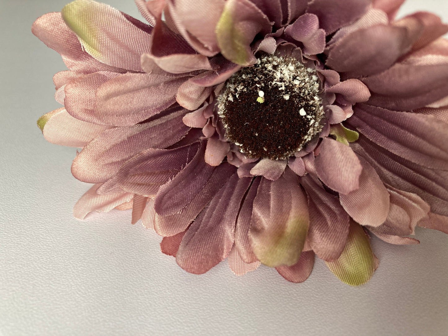 Mauve Gerbera