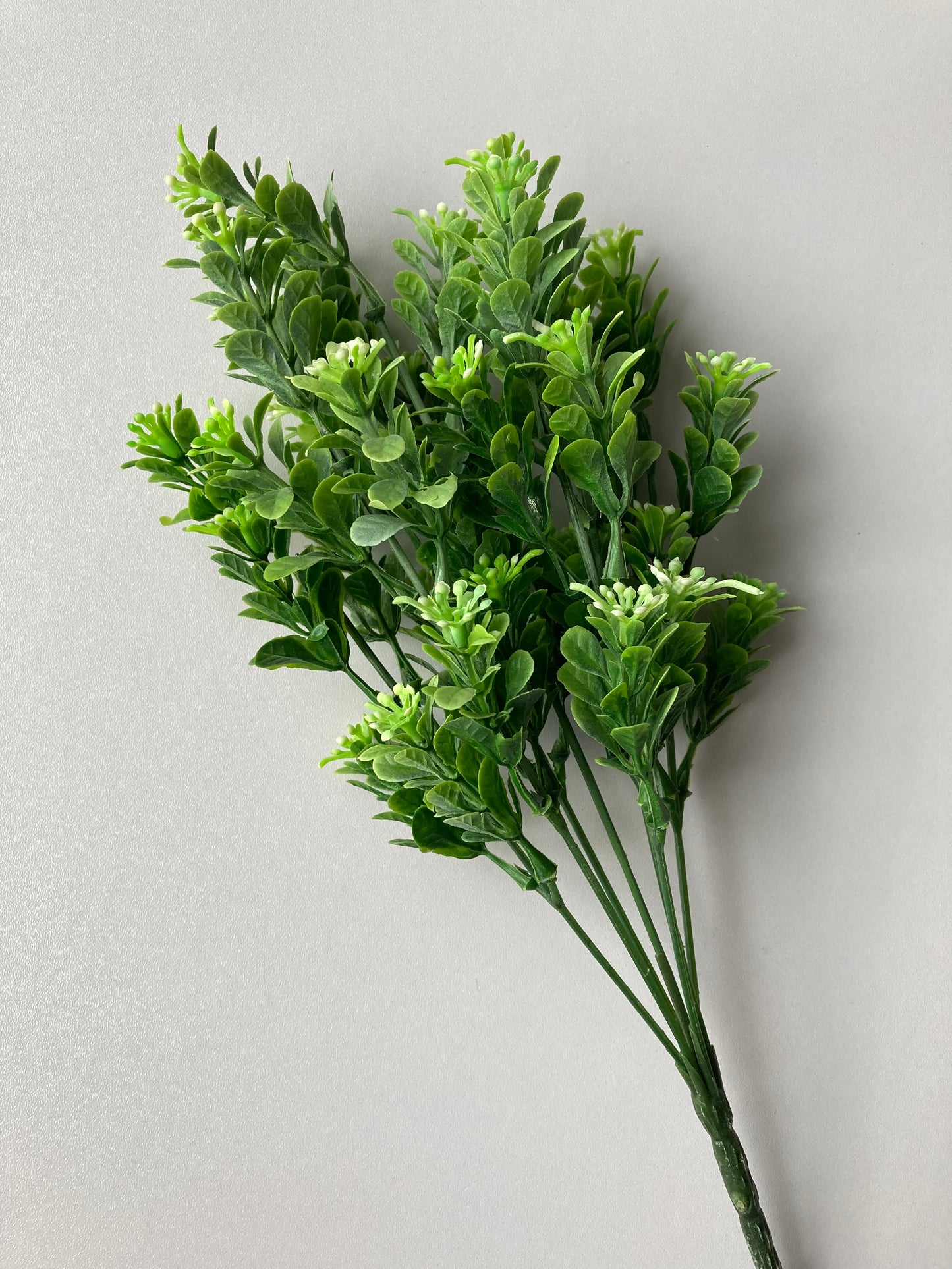 Small Flowered Foliage