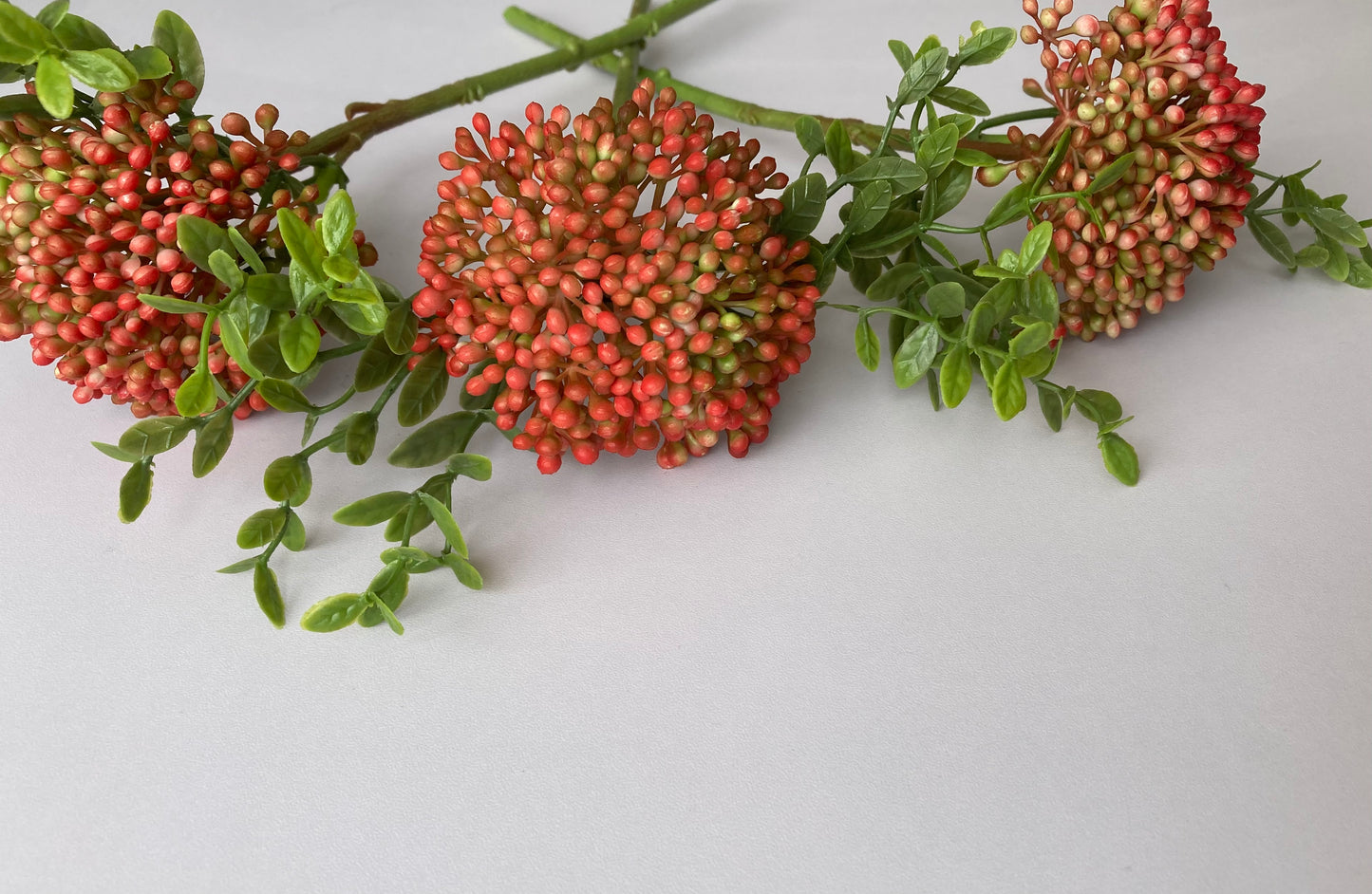 Autumn Red Berry & Foliage