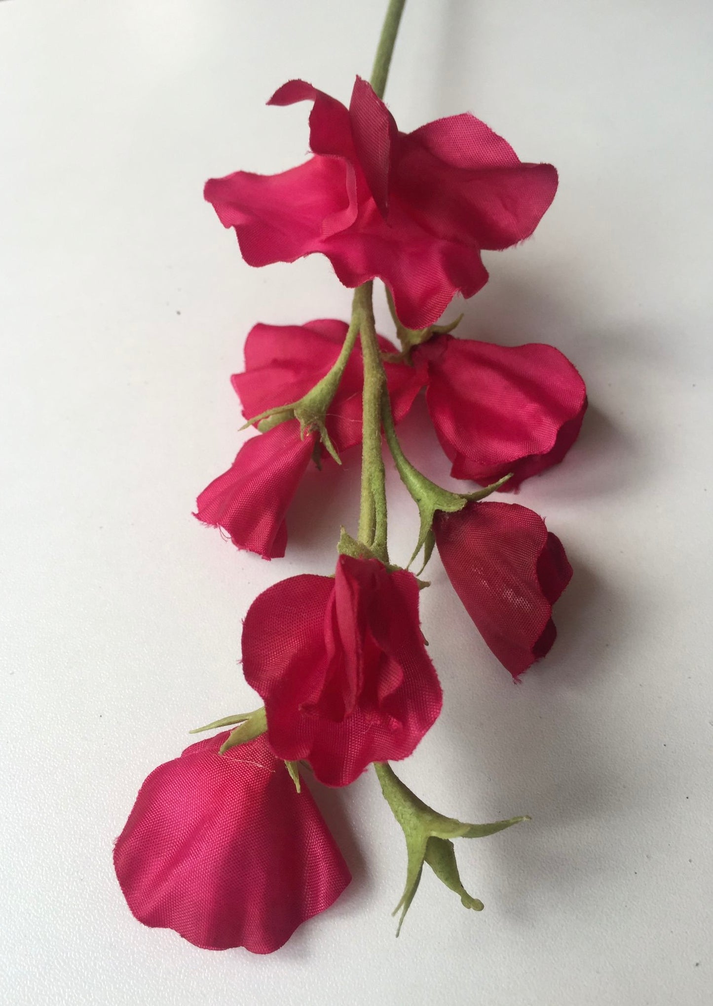 Pink Sweet Pea Stem