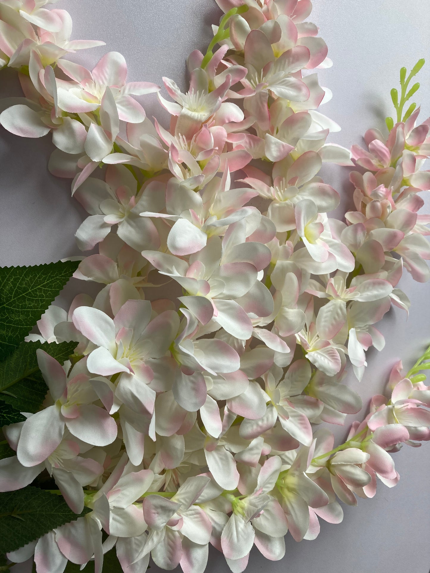 Pink Wisteria Trailing Flower