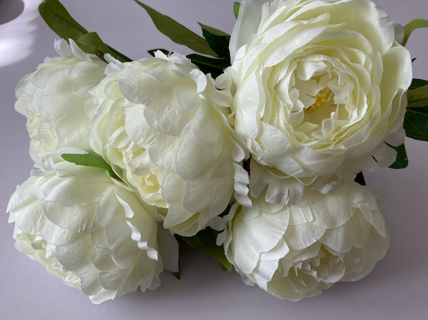 Large 5 Stem Ivory Peony Bunch