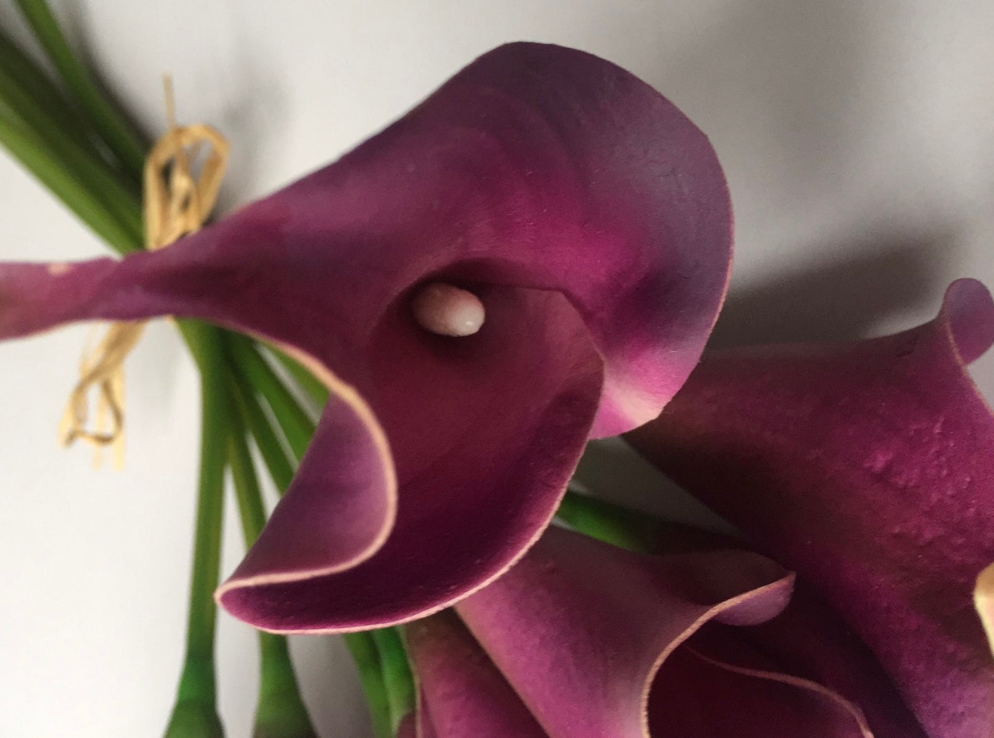 9 Bunch Purple Calla Lily