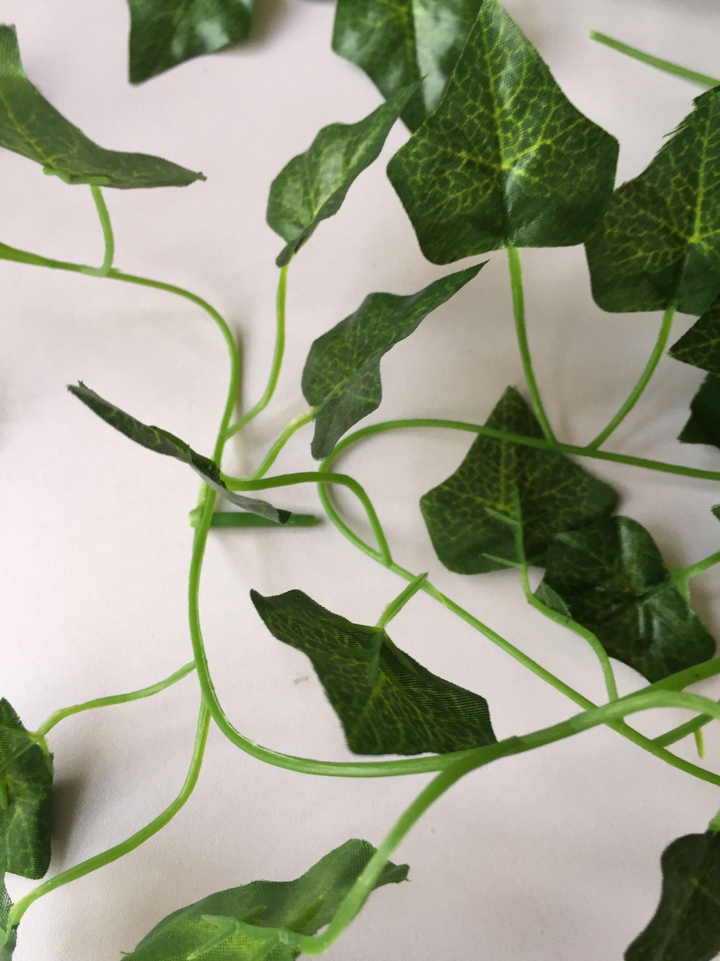 Budget Ivy Garland