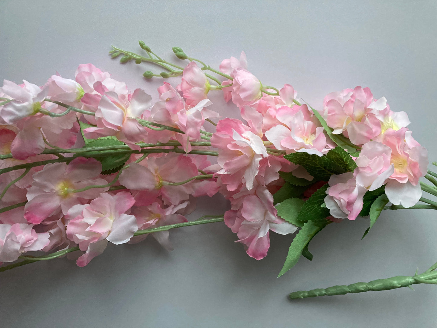 Pink Delphinium Trailing