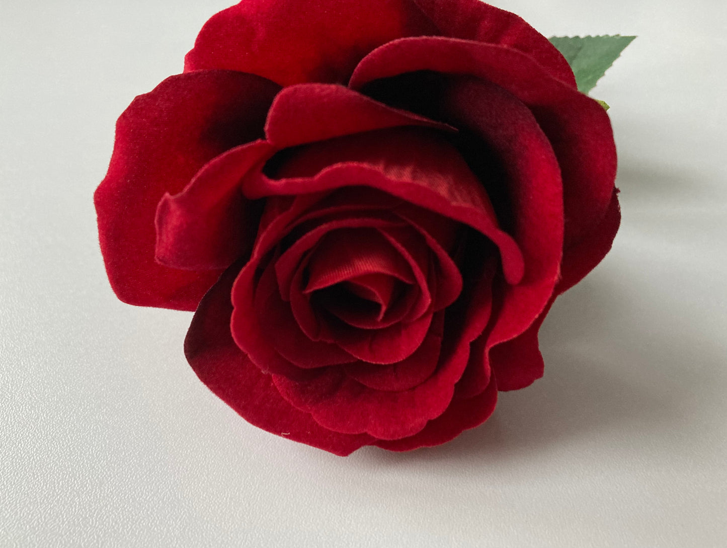 Velvet Red Long Stem Rose