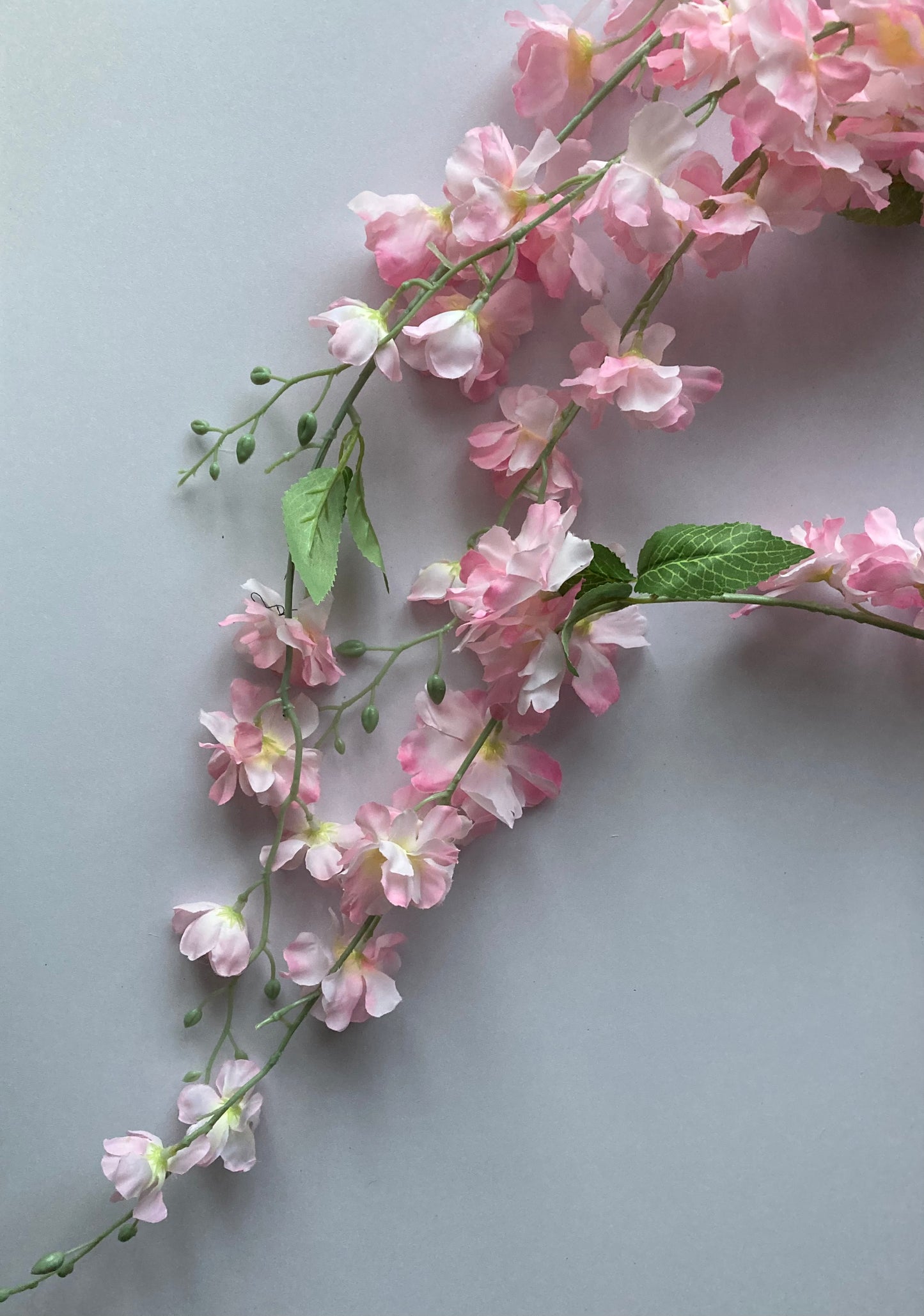 Pink Delphinium Trailing