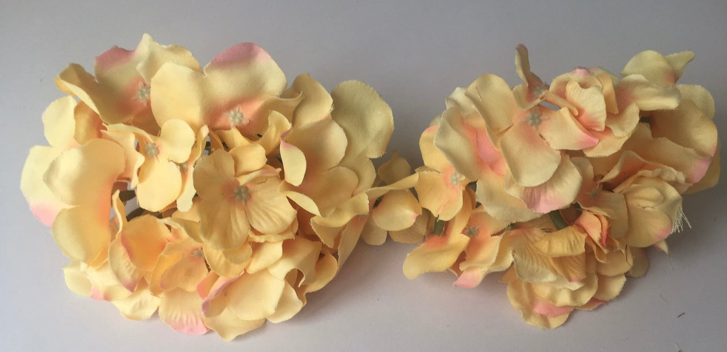 5 Peach Hydrangea Bunch Heads