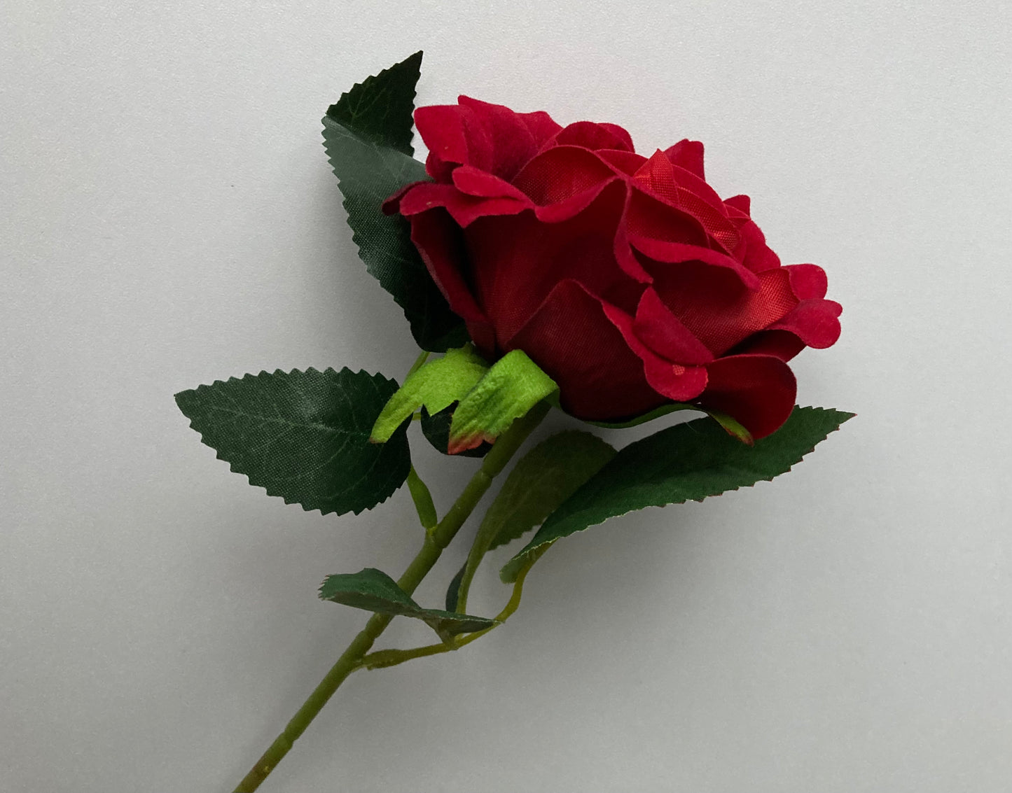 Velvet Short Stem Red Rose