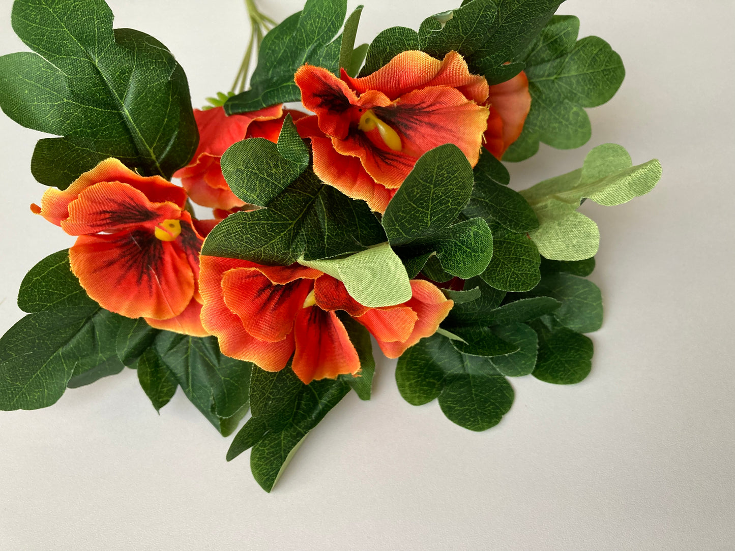 Orange Pansy Bunch