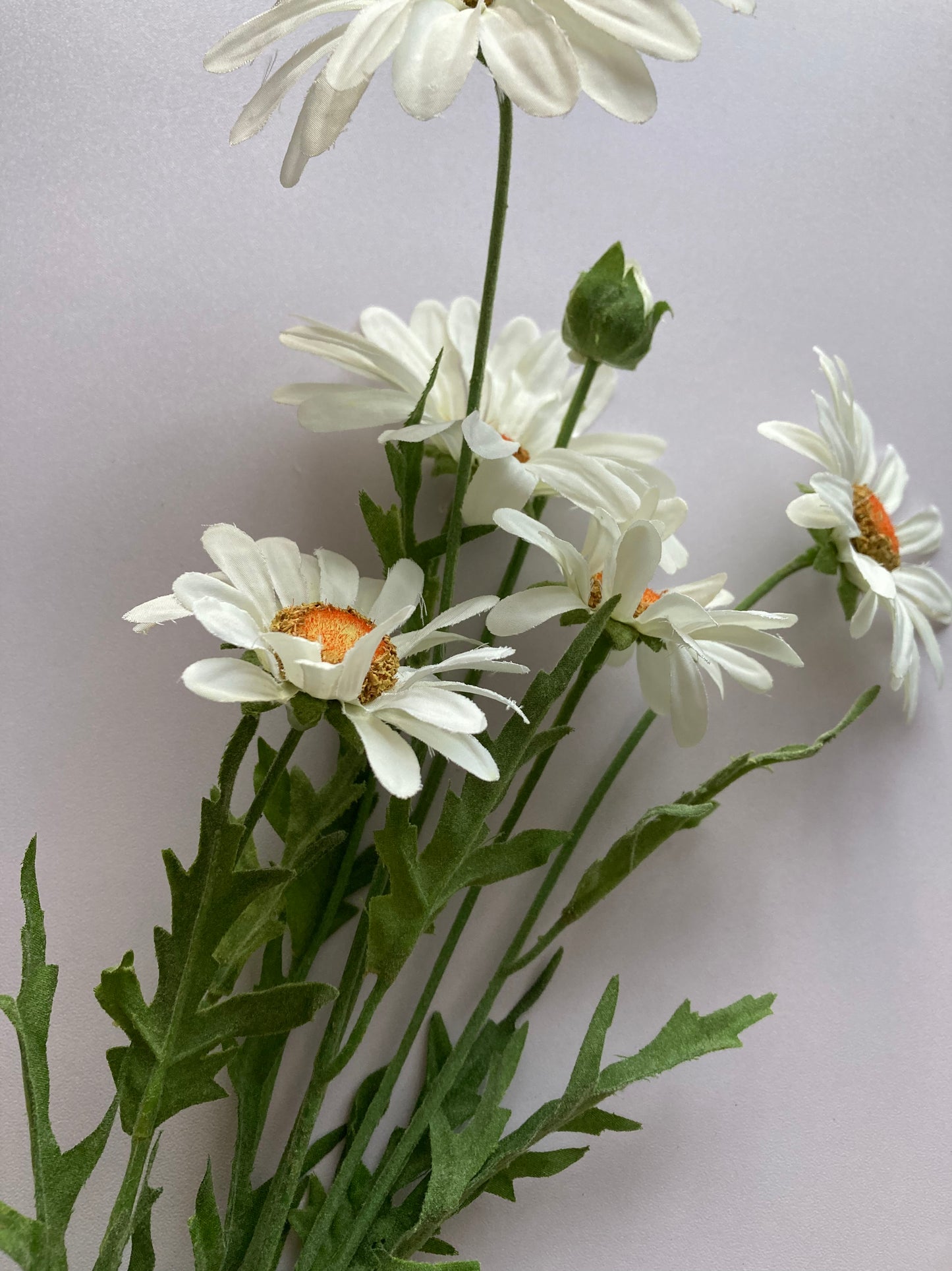 White Wild Daisy Spray