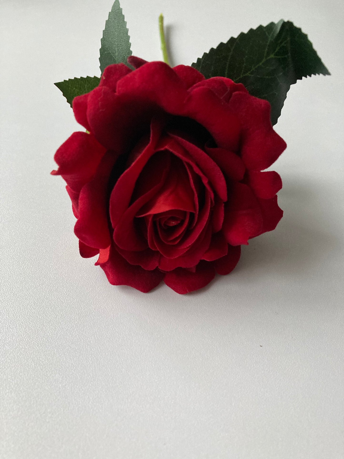 Velvet Short Stem Red Rose