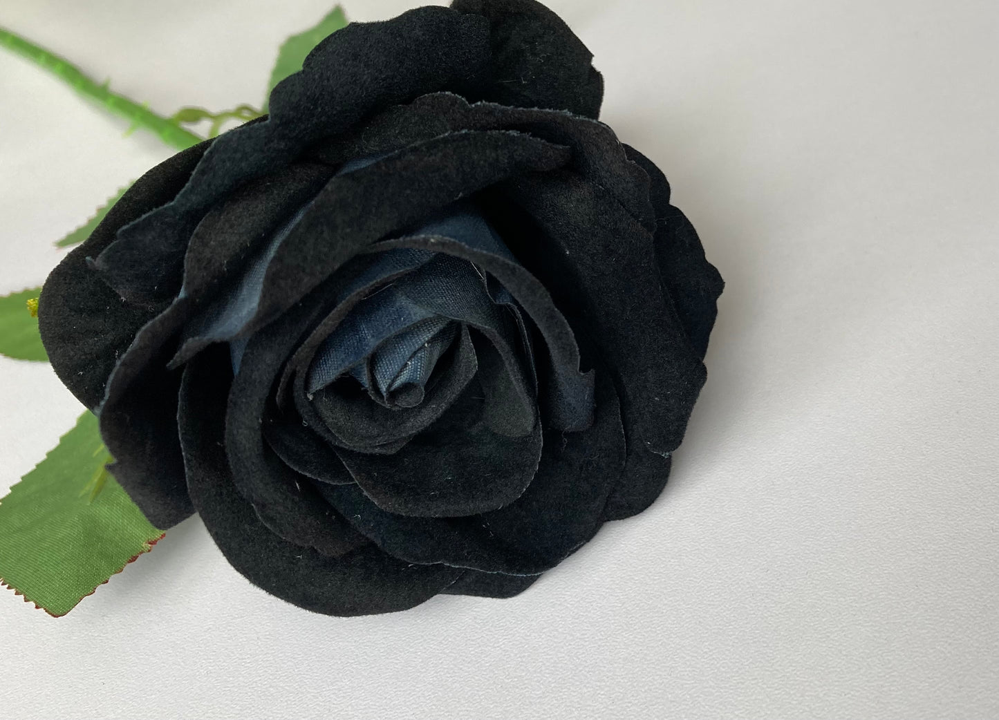 Black Velvet Rose Single Stem