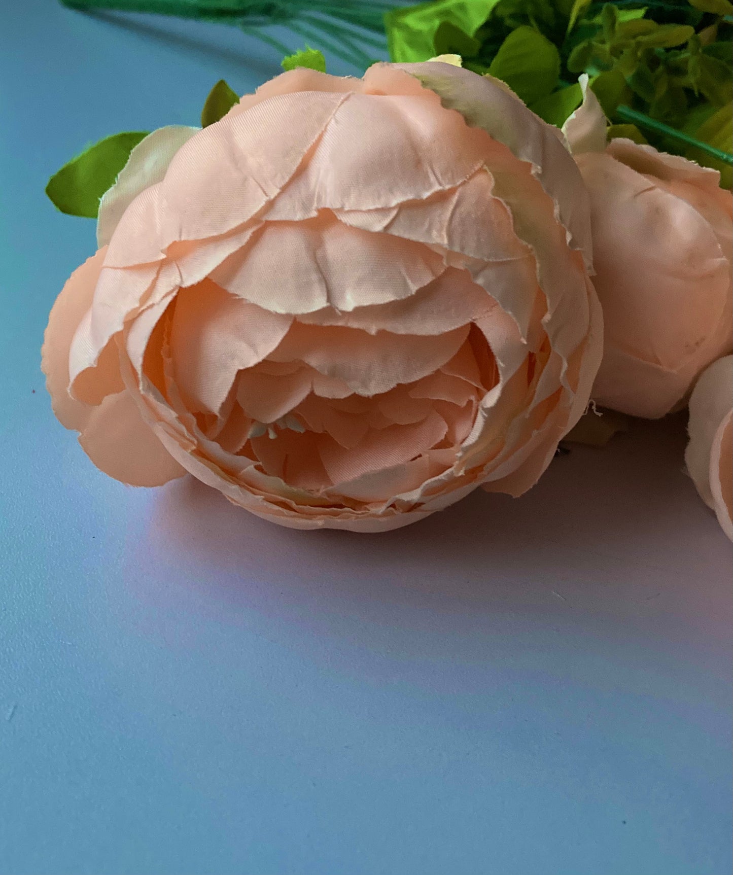 Peach Peony Bush