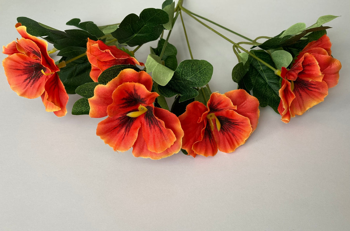 Orange Pansy Bunch