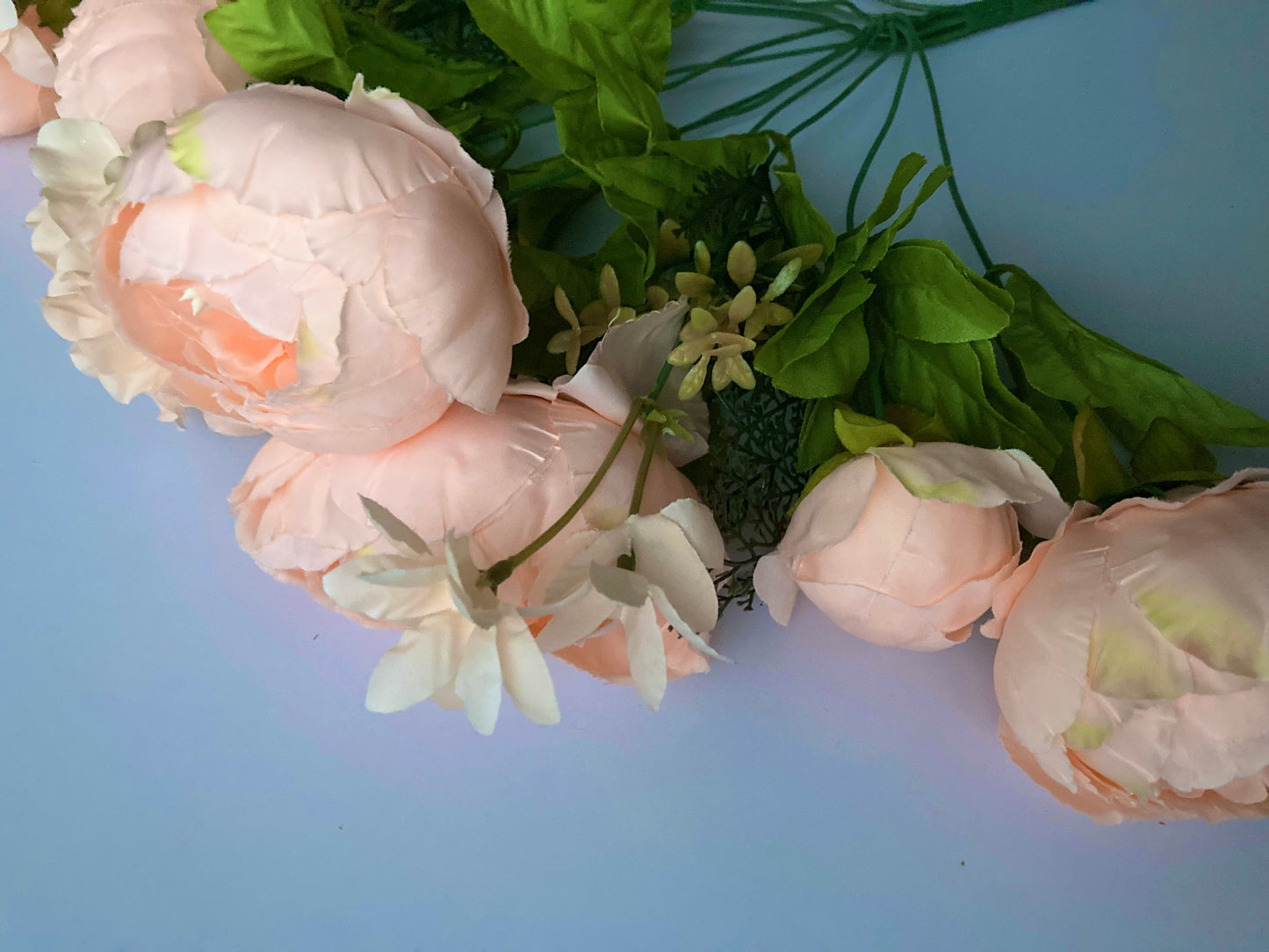 Peach Peony Bush
