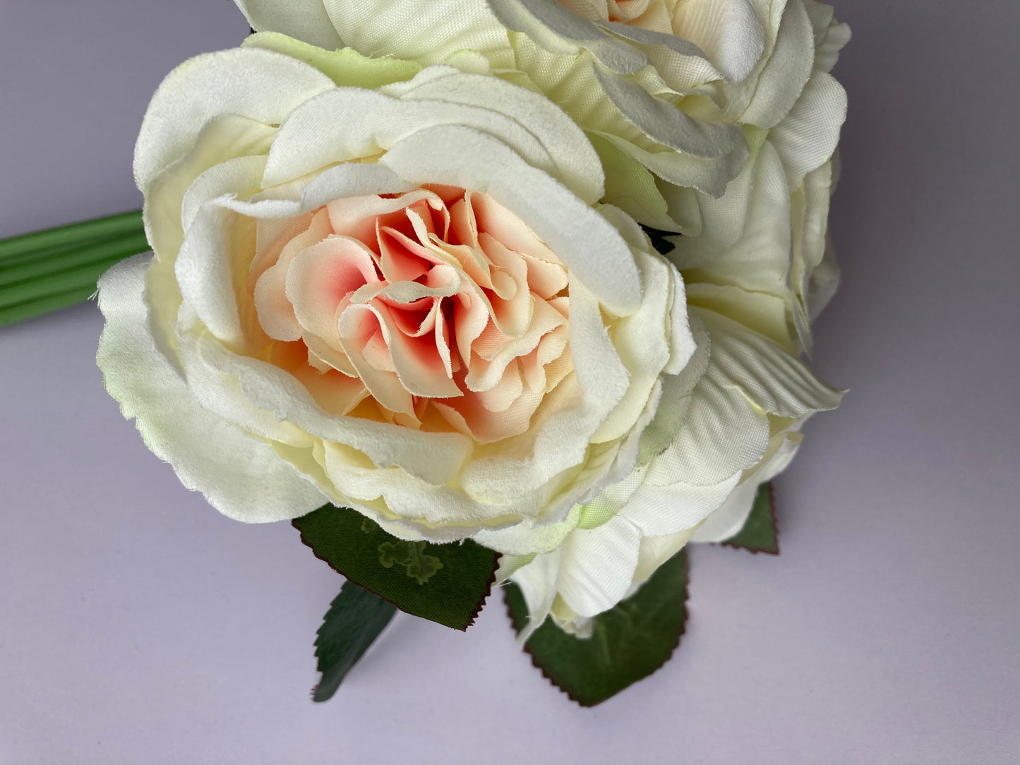 Cabbage Roses