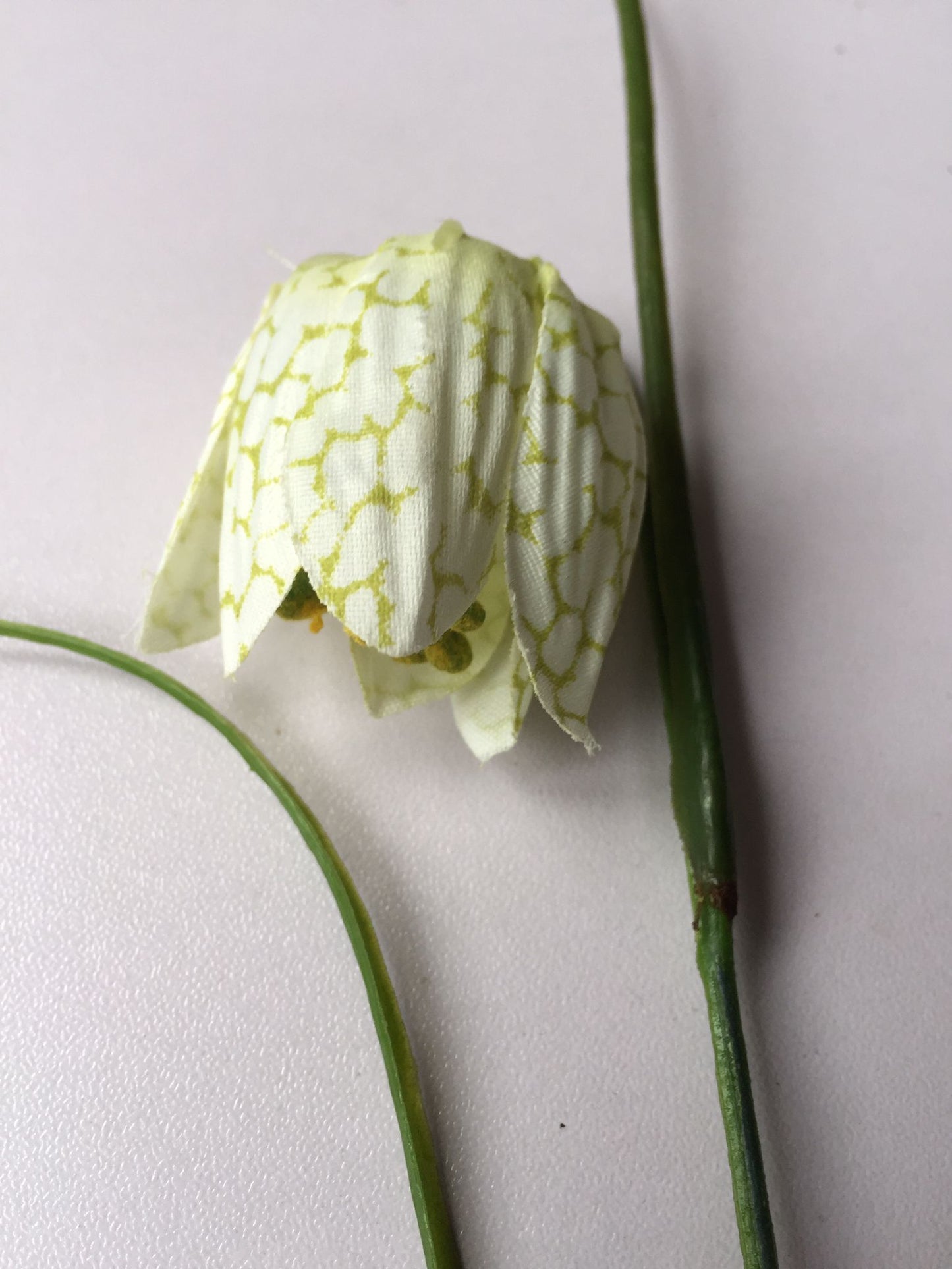 White Fritillaries Single Stem