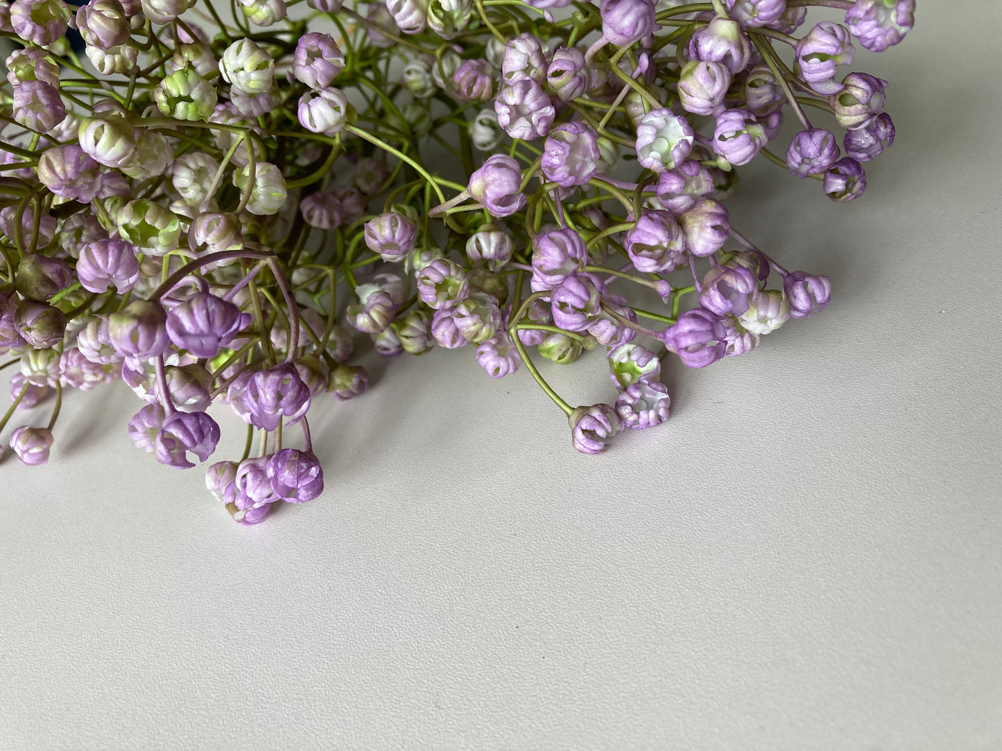 6 Purple Baby's Breath Bunch