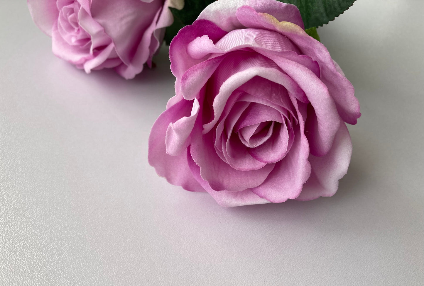 Lilac Velvet Soft Touch Rose