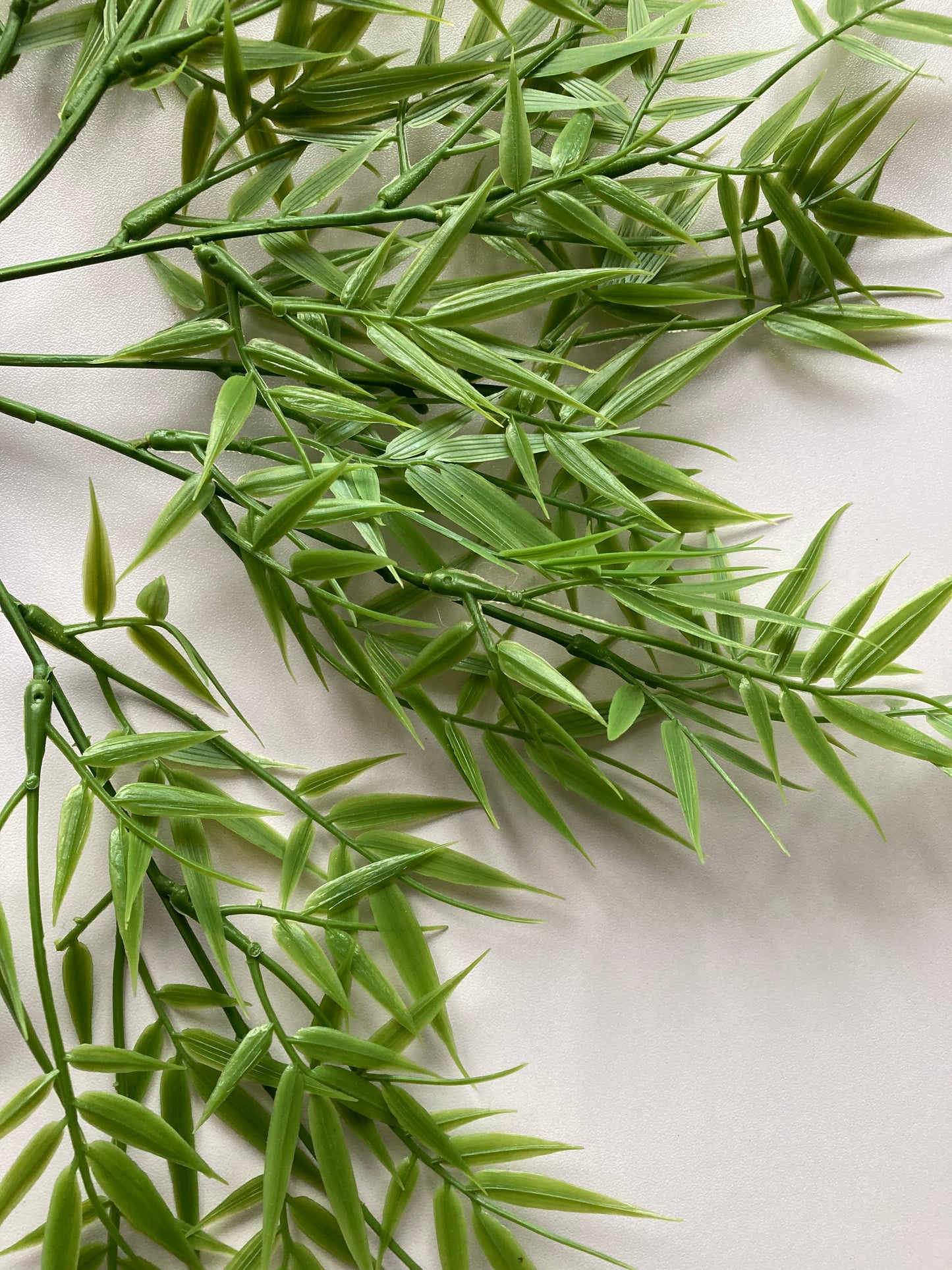 Small Bamboo Foliage