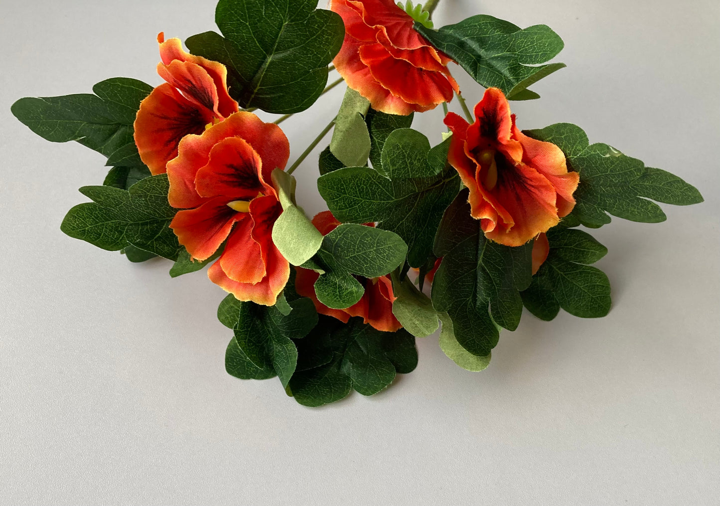 Orange Pansy Bunch