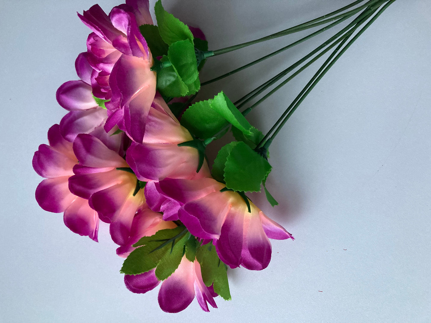 Purple Tipped Dahlia Bunch