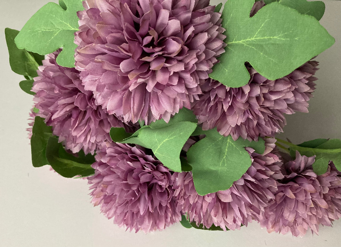 Purple Chrysanthemums Bunch