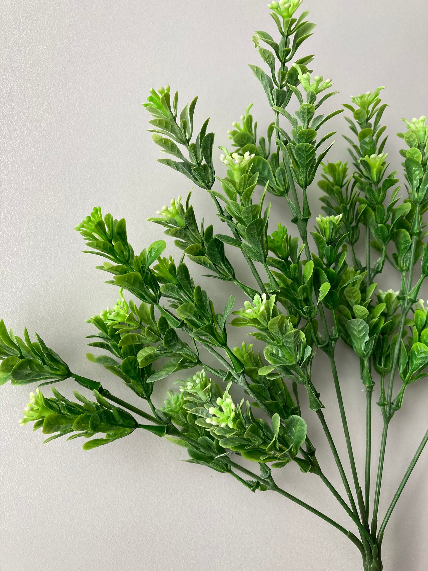 Small Flowered Foliage