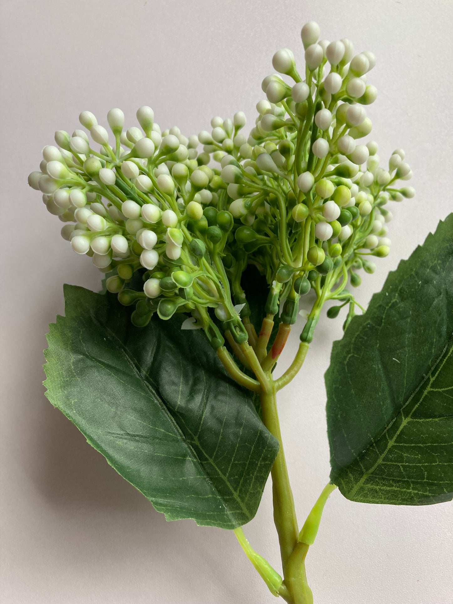 White Cluster Berries