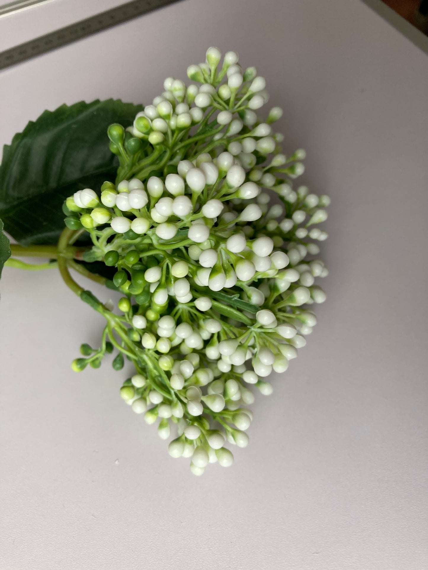 White Cluster Berries