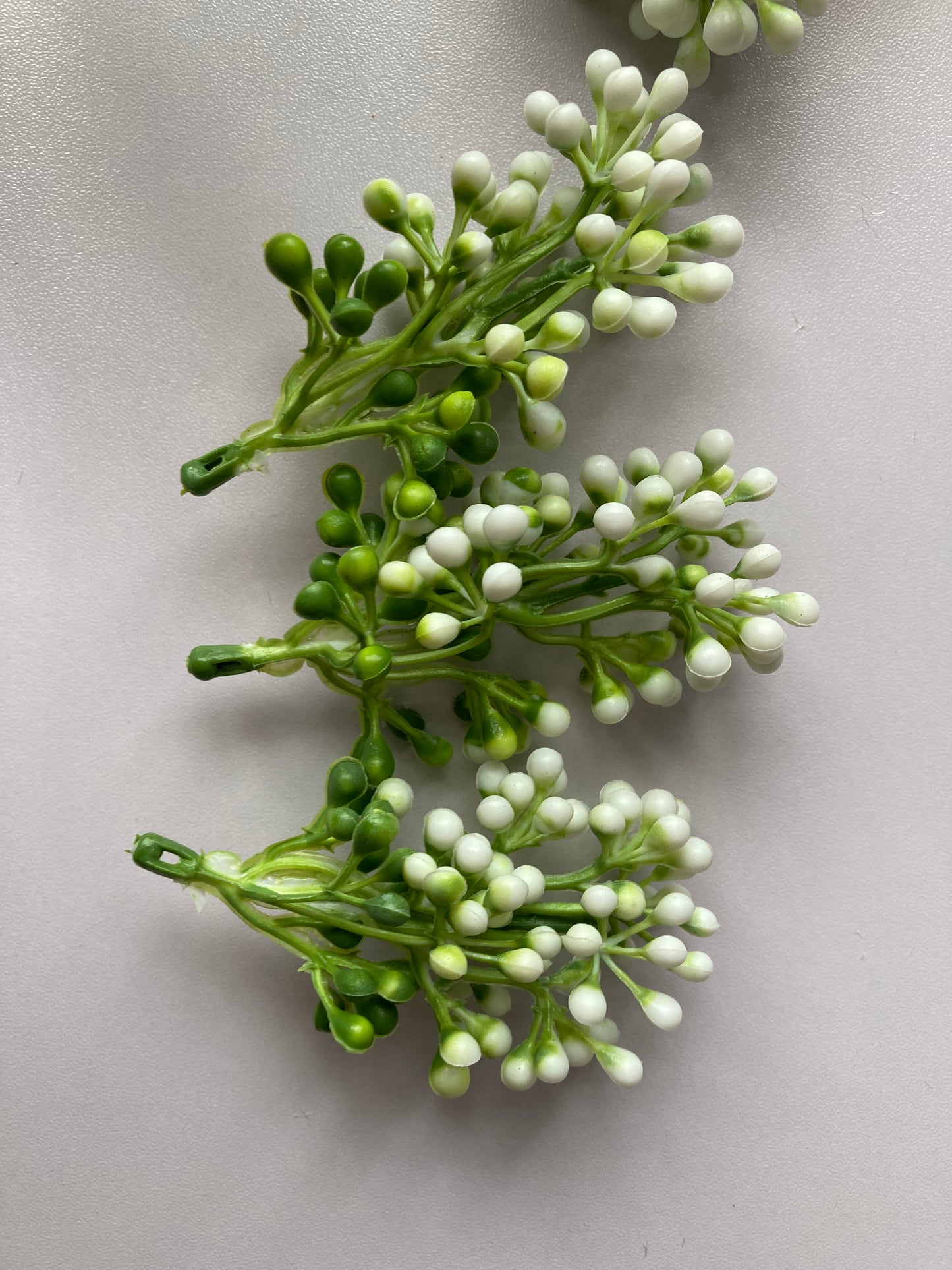 White Cluster Berries