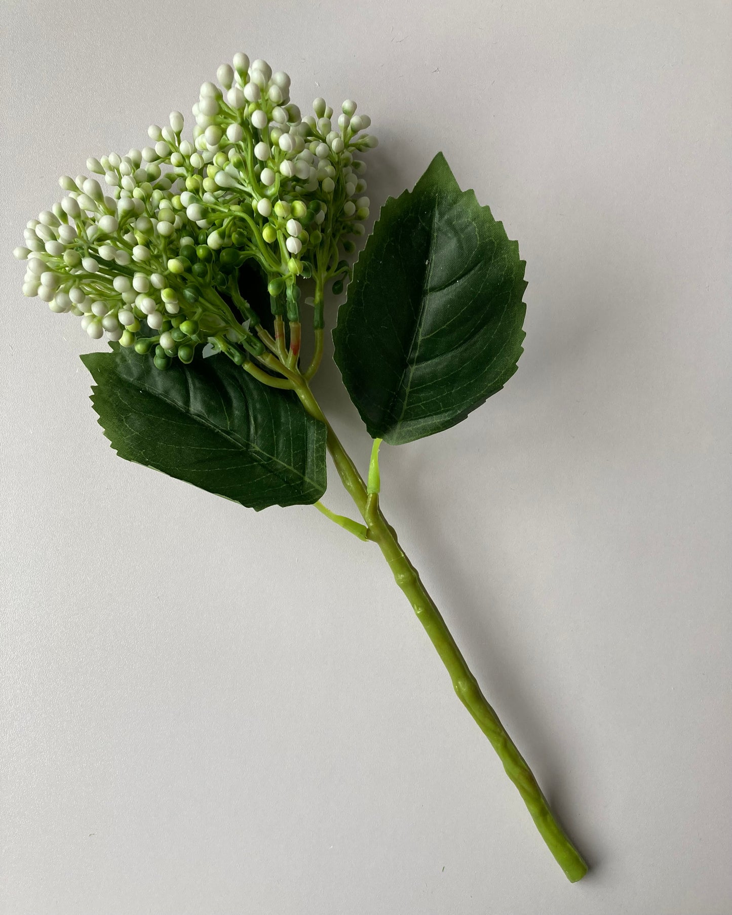 White Cluster Berries