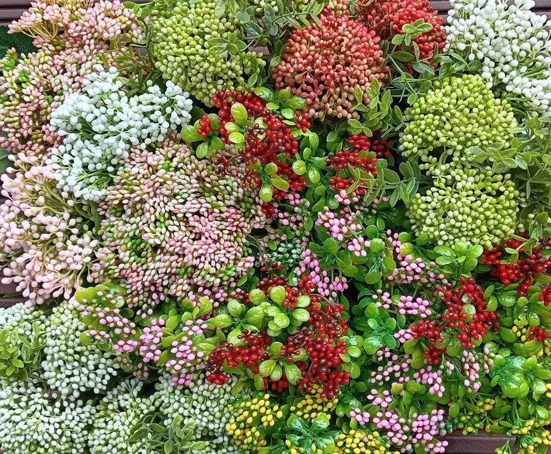 Berries Collection